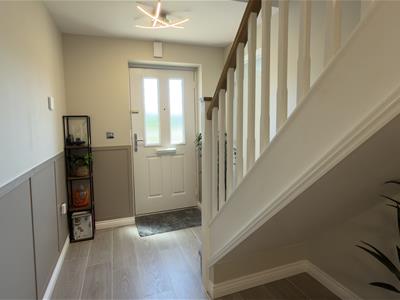 Picture 20